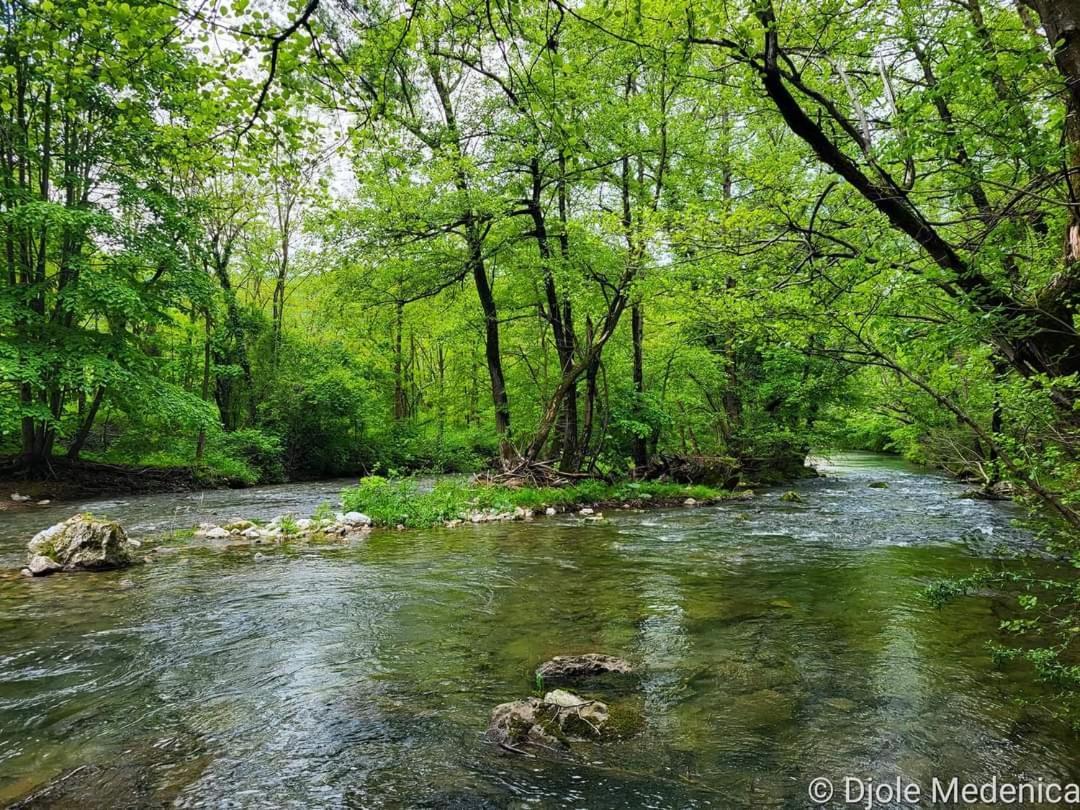 Apartman Cherry Gradac Valjevo Zewnętrze zdjęcie